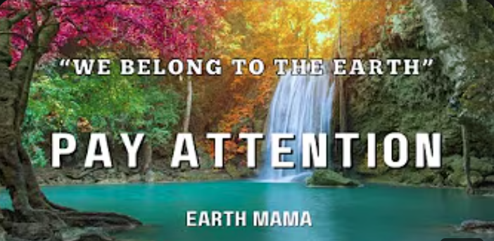 Pay Attention (Music Video by Joyce Rouse)